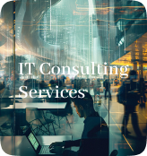 IT Consulting